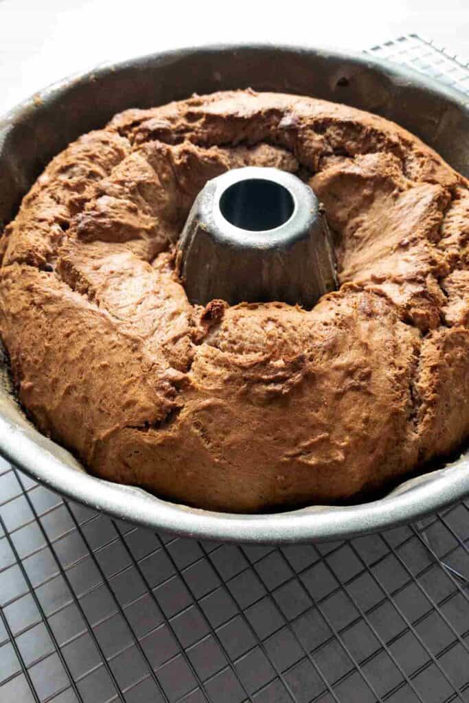 Bundt walnut cake in pan.