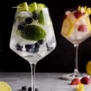 Blueberry lime gin and tonic in a glass.